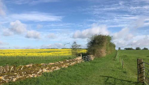 Kenns Farm - 2 Beautiful Barns - Foto 4