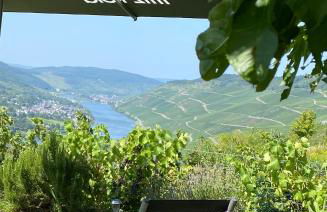 Apartment an der Mosel 1 - Foto 19