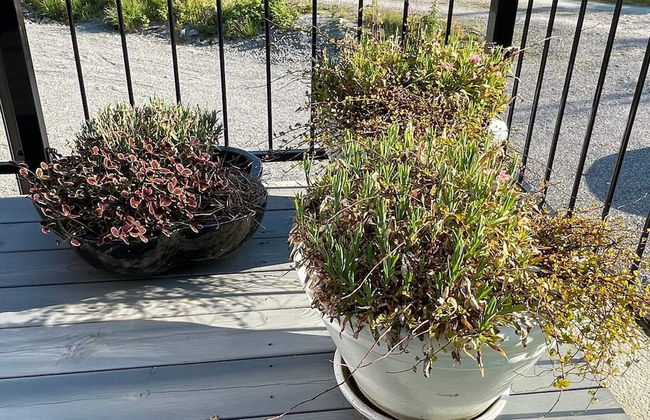 8 Person Holiday Home in Hellesoy-by Traum - Foto 30