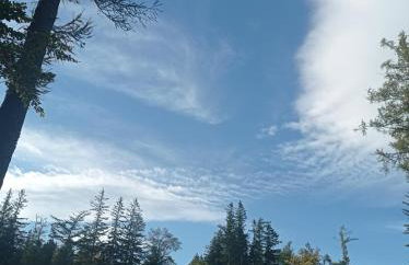 Lawendowe wzgórze - Foto 18