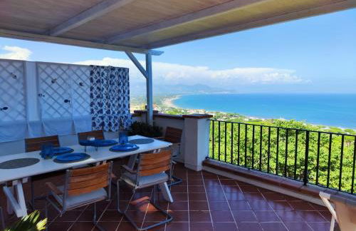 Pino Marino - Foto 39