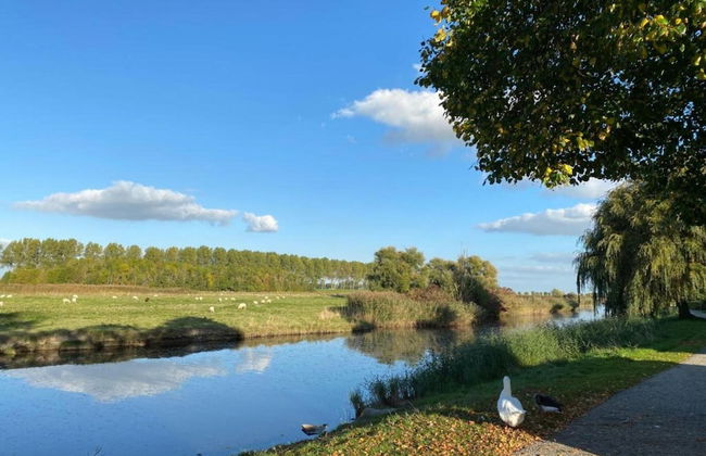 Holiday Home in Scherpenisse Near Oosterschelde - Foto 37