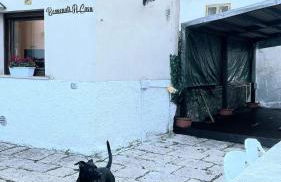 Benvenuti a Casa - Foto 25