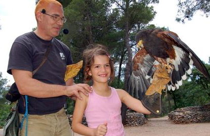 Holiday Home Lucia - Photo 37