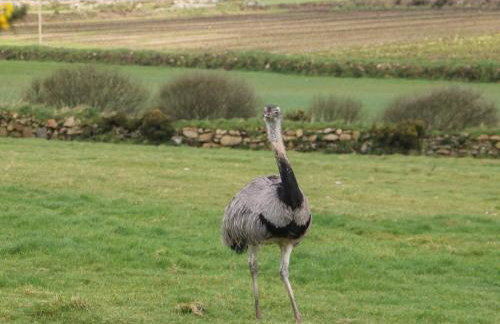 Chywolow Lodge - Photo 40