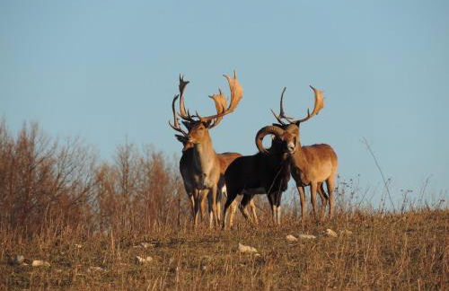 Le Moulin aux Lavandes - Foto 17