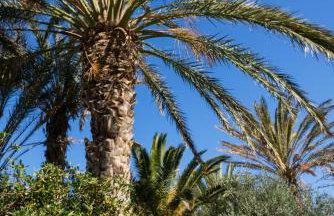 Carissa house in Crete - Foto 37