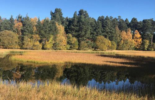 Courtyard Bothy - Foto 14
