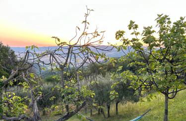 Casa di Coraggio - Foto 49