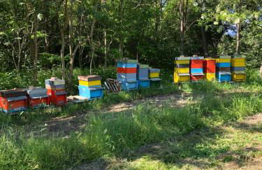 Casa alla Fontana - Foto 35