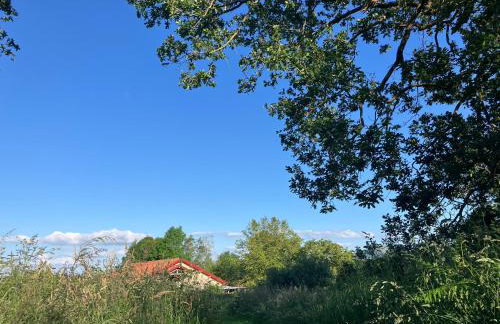 Haixpia, Le Gîte - Foto 22