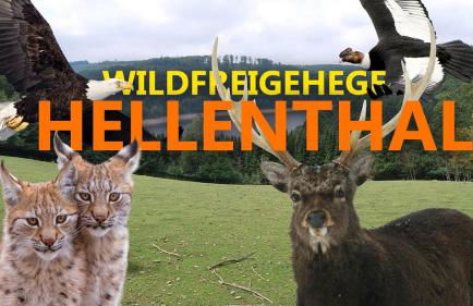 Ferienhaus Hescheld With Private Jacuzzi - Foto 56