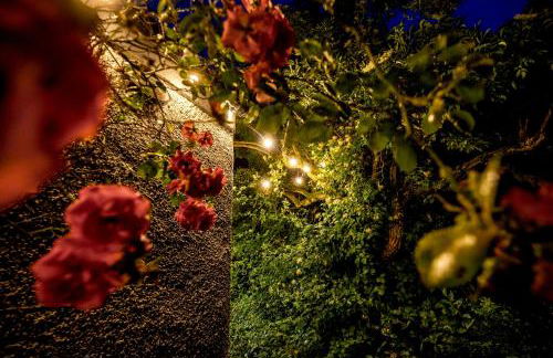 The Woods at Whitepark Bay - Foto 28