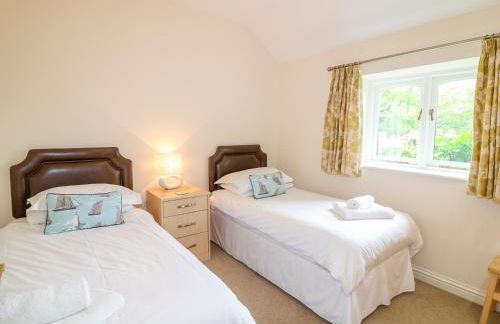 Forget-me-not - Foto 11