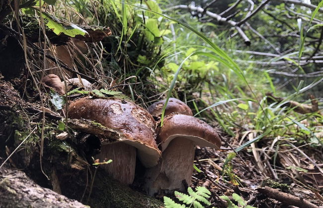 Lago Maggiore Holiday House With Panoramic Views - Foto 42