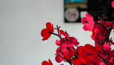 Flamingos view apartment in Cabo de Gata - Foto 3