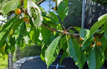 Grzybowo Dom wakacyjny - Foto 31