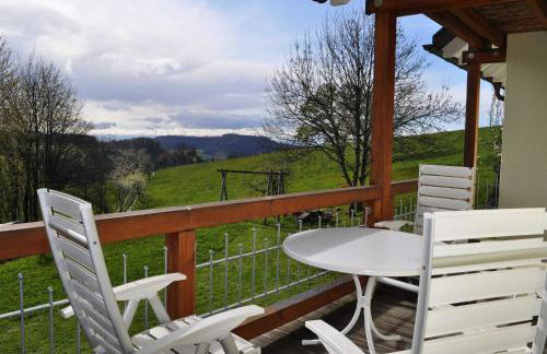 Ferienwohnungen Hansmartihof - Foto 16