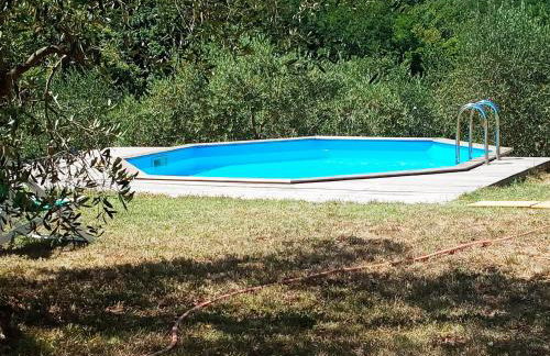Villa con Piscina 10 Posti Letto, L'Oliveta Di Rivalto - Foto 12