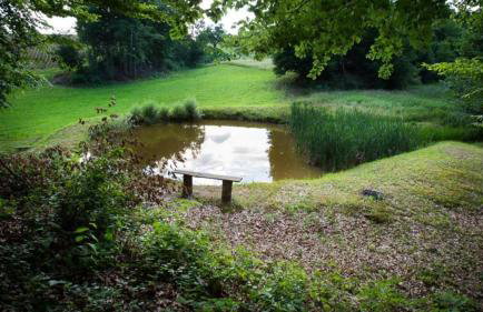 Apartman i sobe Pavek - Foto 3