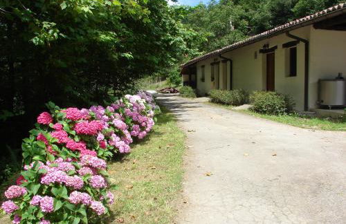 Casa Rural Goikola - Photo 36