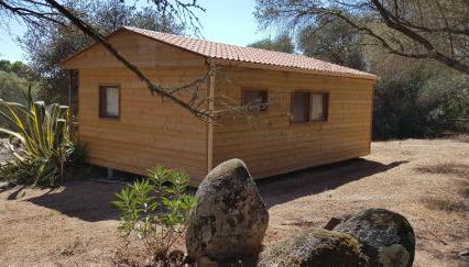 Chalet Cosy - U Nestru - Foto 5, Garden