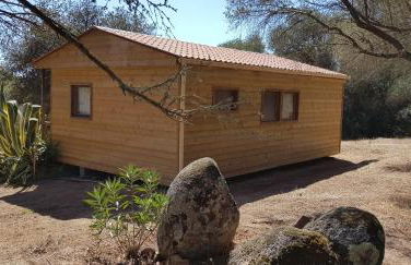 Chalet Cosy - U Nestru - Foto 5