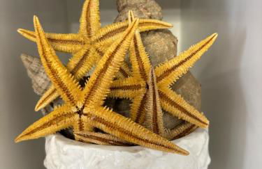 STELLA MARINA Apartment - Foto 37