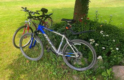 Siedlisko pod Kasztanem - Foto 47