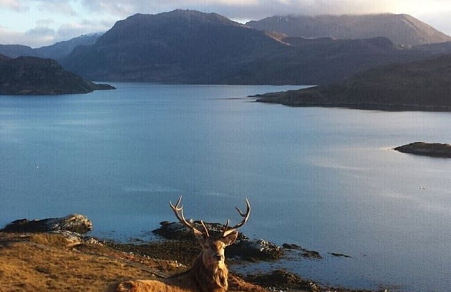 Cosy 2-bed House in Kinlochbervie - Foto 15