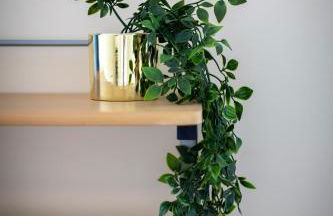 Crystal House Flat 3 - free private parking - metro - Foto 12