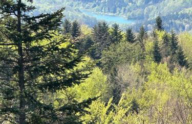 Bieszczady ClaraArt - Foto 56