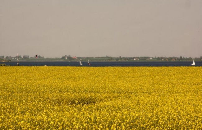 Komfortables Ferienhaus in Zierow mit Sauna - Photo 23