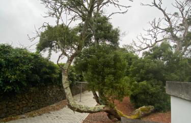 Casa Azul Terceira Island Azores - Photo 28