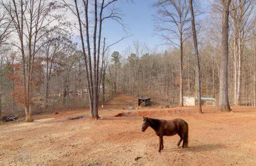 Mountain Retreat in Commerce with Billiards and Darts - Photo 26