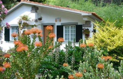 Moinho do Comandante - Foto 13