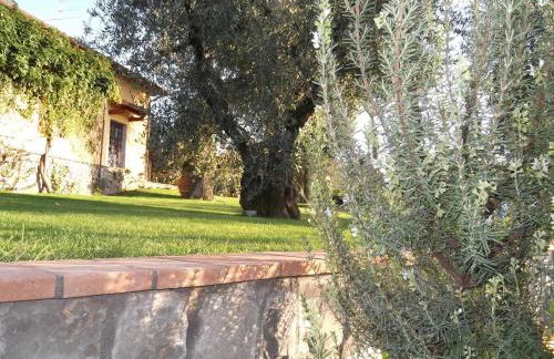 Podere La Casuccia - Foto 37