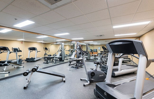 Morning Eagle - Photo 10