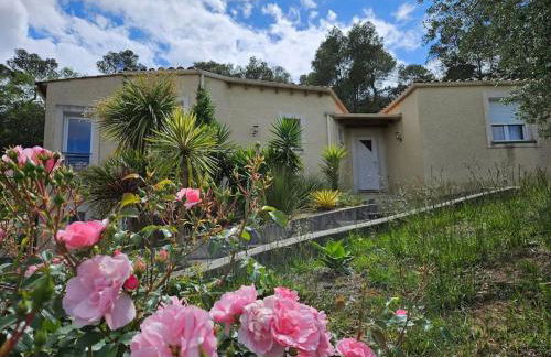 Carcassonne tranquillement - Foto 24