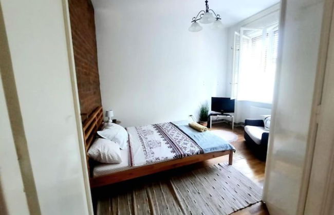 Boheme Proprety in the Heart of Timisoara - Foto 7