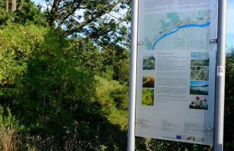 Ferienwohnung-zum-Kueppchen - Foto 24