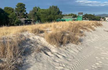 Villa con piscina e giardino a due passi dal mare. - Foto 27