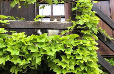 La Stellina Casa Vacanze - Relax immersi nella natura - Foto 26