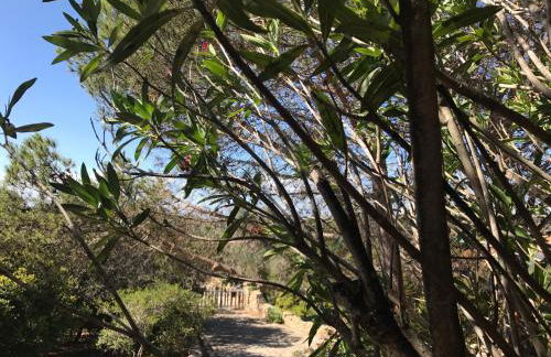 Villa Grace - Foto 60