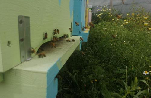 Agriturismo Fieri - Foto 19