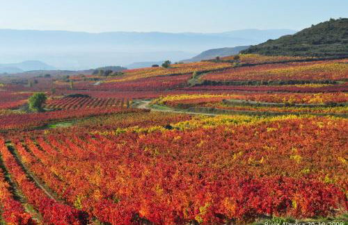 Apartamento Golf Rioja Alta - Foto 19