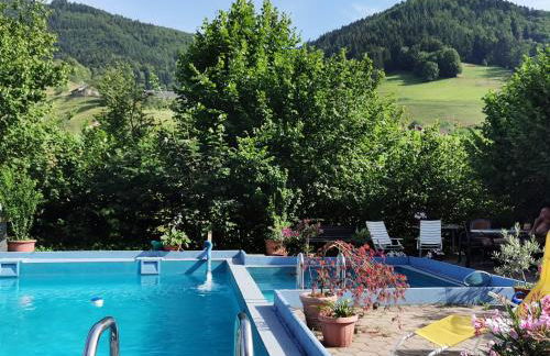 Ferienwohnung Vogelsang im Schwarzwald - Foto 32