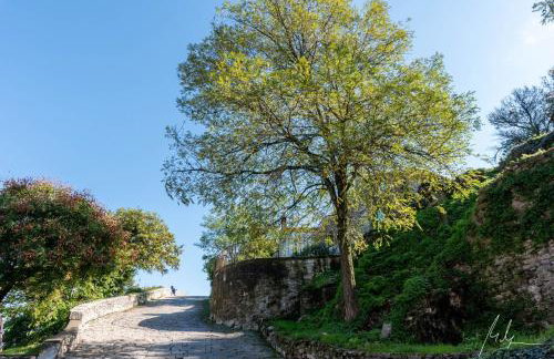 Sunset holiday home with pool and large, mature garden - Foto 39