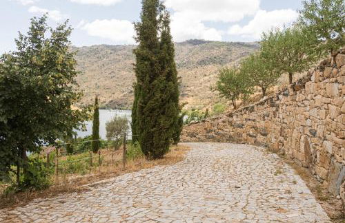 Olhares do Douro - Foto 55