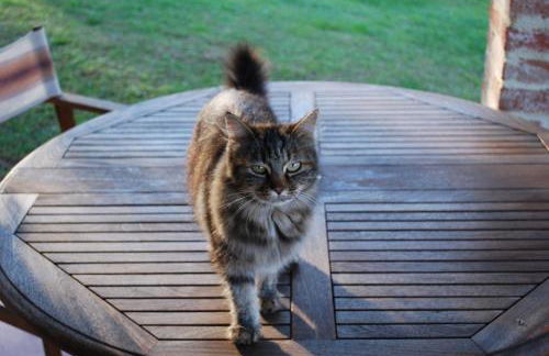 Ecolodge Langhe - Foto 56